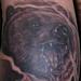 tattoo galleries/ - bear tattoo